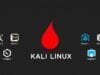 Install Kali Linux: Master Your Ethical Hacking Lab A stylized graphic showing the Kali Linux logo prominently, with various ethical hacking tools represented as icons around it, suggesting a powerful security environment.