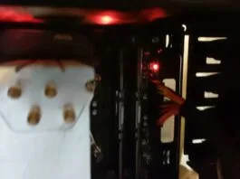 MSI CPU red light
